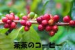 画像5: 焙煎は簡単‼︎ コロンビアpremium coffee スウィートベリーSUP、ウイラ産　５００g、ポスト投函便送料無料 (5)