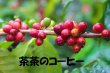 画像5: 焙煎は簡単‼︎ ベトナムpremium coffee   アラビカグリーンダラット５００g ポスト投函便送料無料 (5)