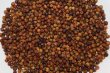 画像2: 農園から直送のレッドペッパー ベトナムDAK Lak産 70g×2袋、 ポスト投函便送料無料 (2)