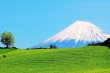画像6: ポスト投函便 送料込　深蒸し上級煎茶　静岡産（２００g×2袋セット） (6)
